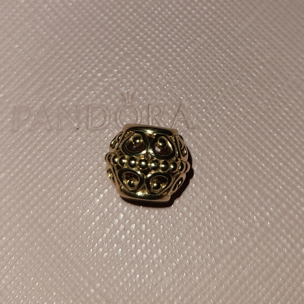 Guilded cage Pandora Charm 14k💫